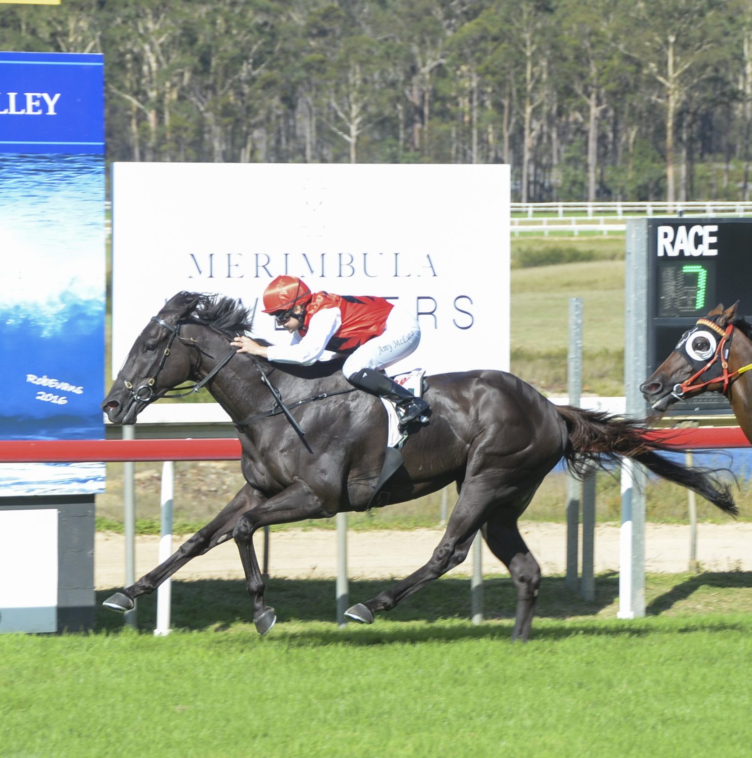 Direct Fire ready for Narooma Cup